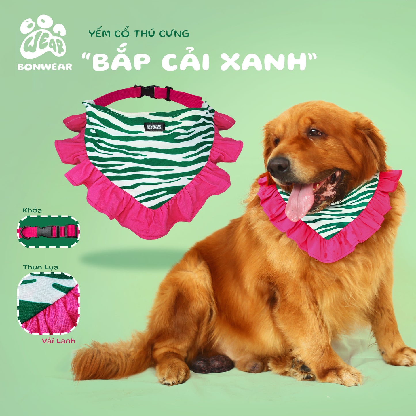 BANDANA GREEN CABBAGE (BẮP CẢI XANH)