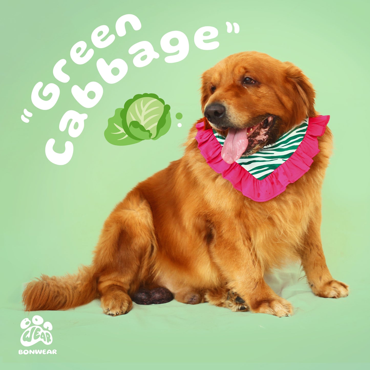 BANDANA GREEN CABBAGE (BẮP CẢI XANH)