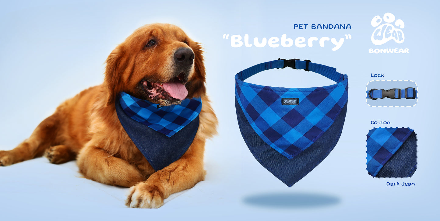 BANDANA BLUEBERRY (VIỆT QUẤT)