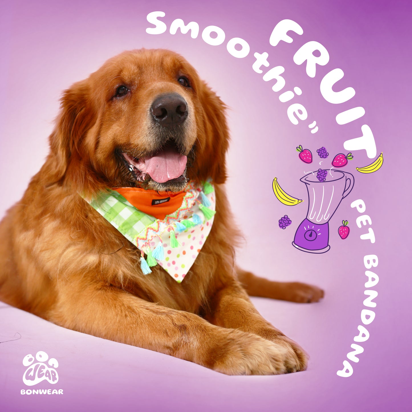 BANDANA FRUIT SMOOTHIE (SINH TỐ TRÁI CÂY)