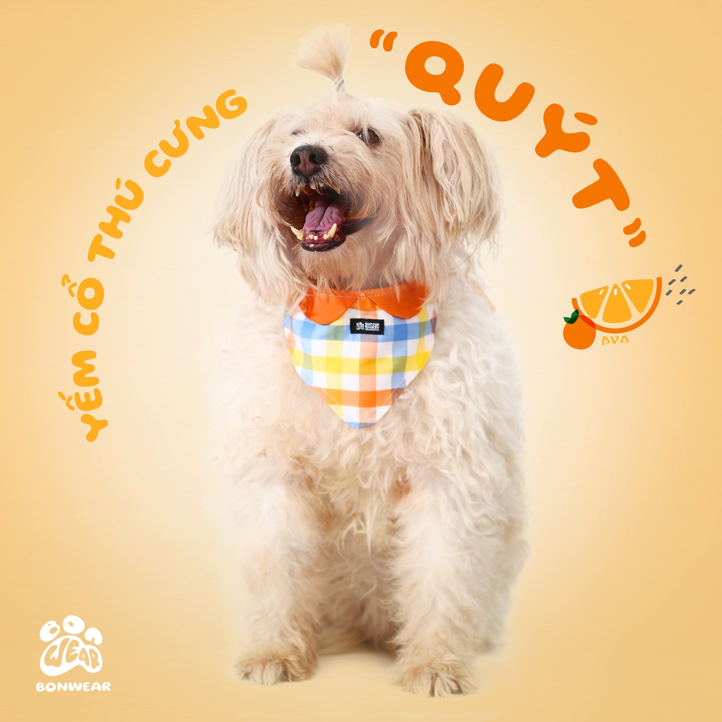 BANDANA MANDARIN (QUÝT)