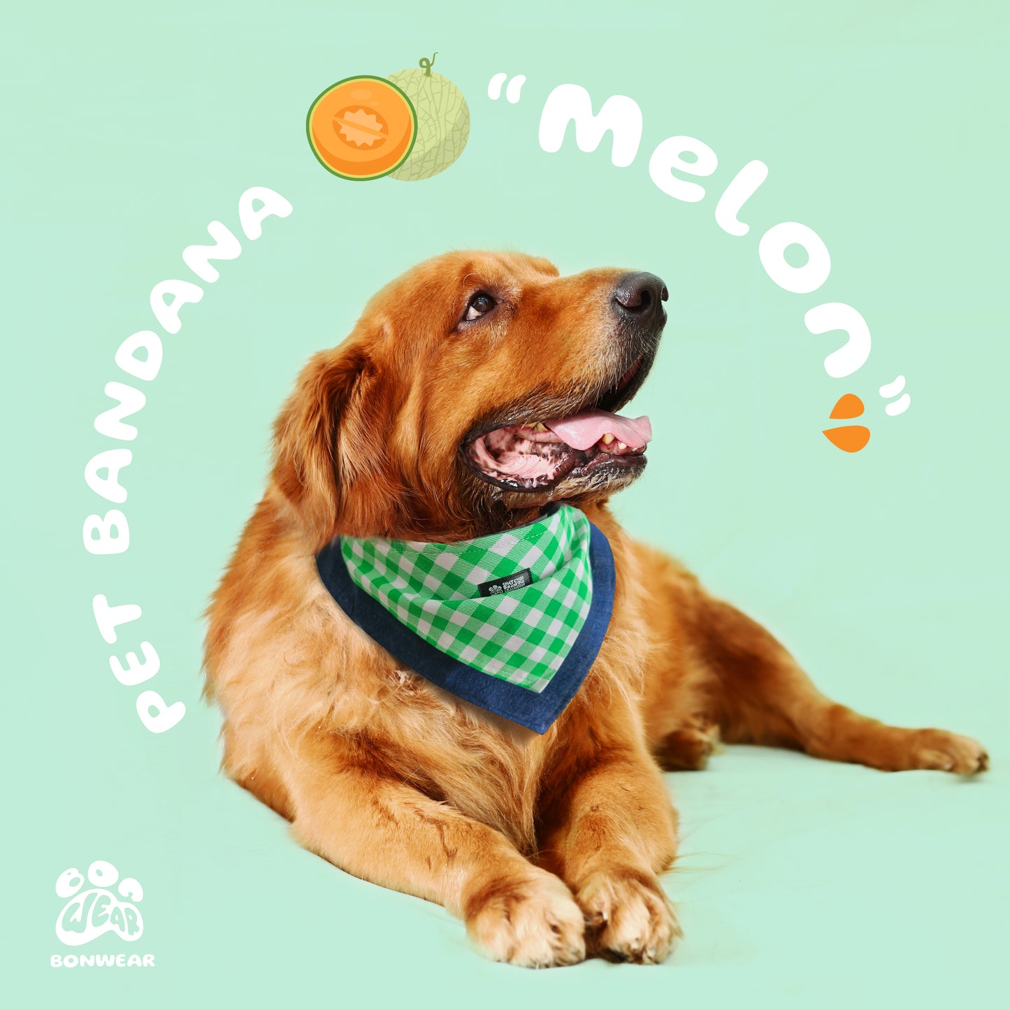 BANDANA MELON (DƯA LƯỚI)
