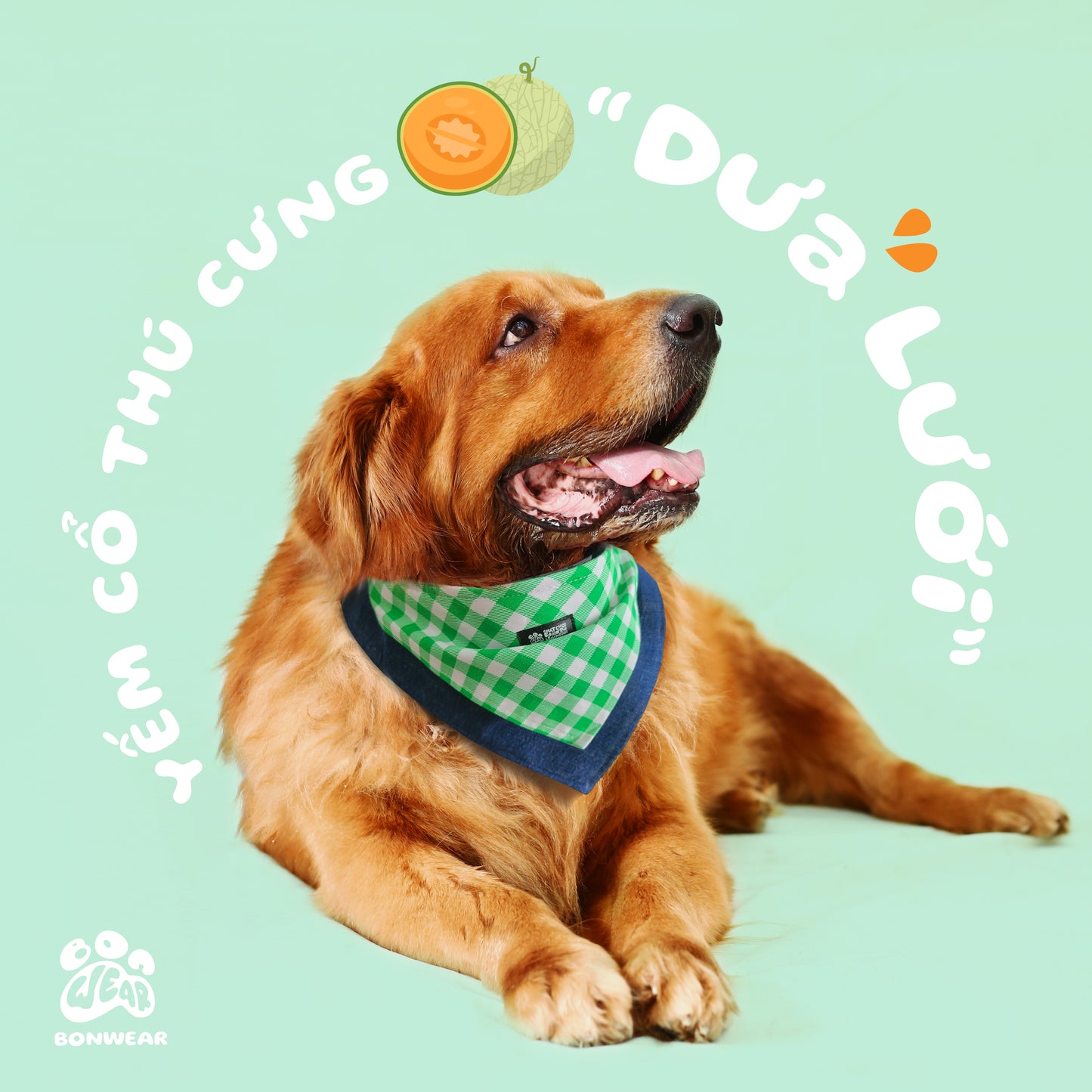 BANDANA MELON (DƯA LƯỚI)