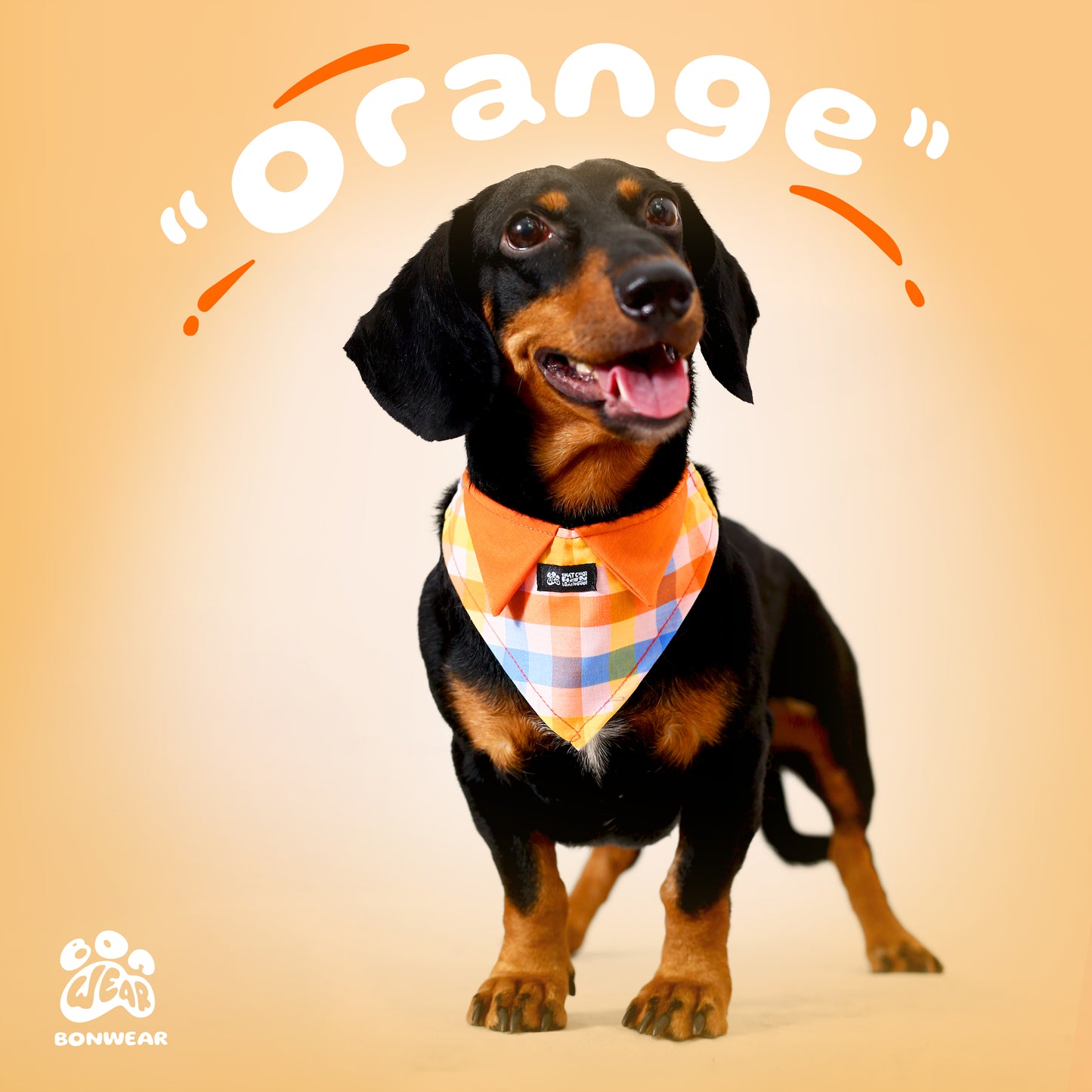 BANDANA ORANGE (CAM)