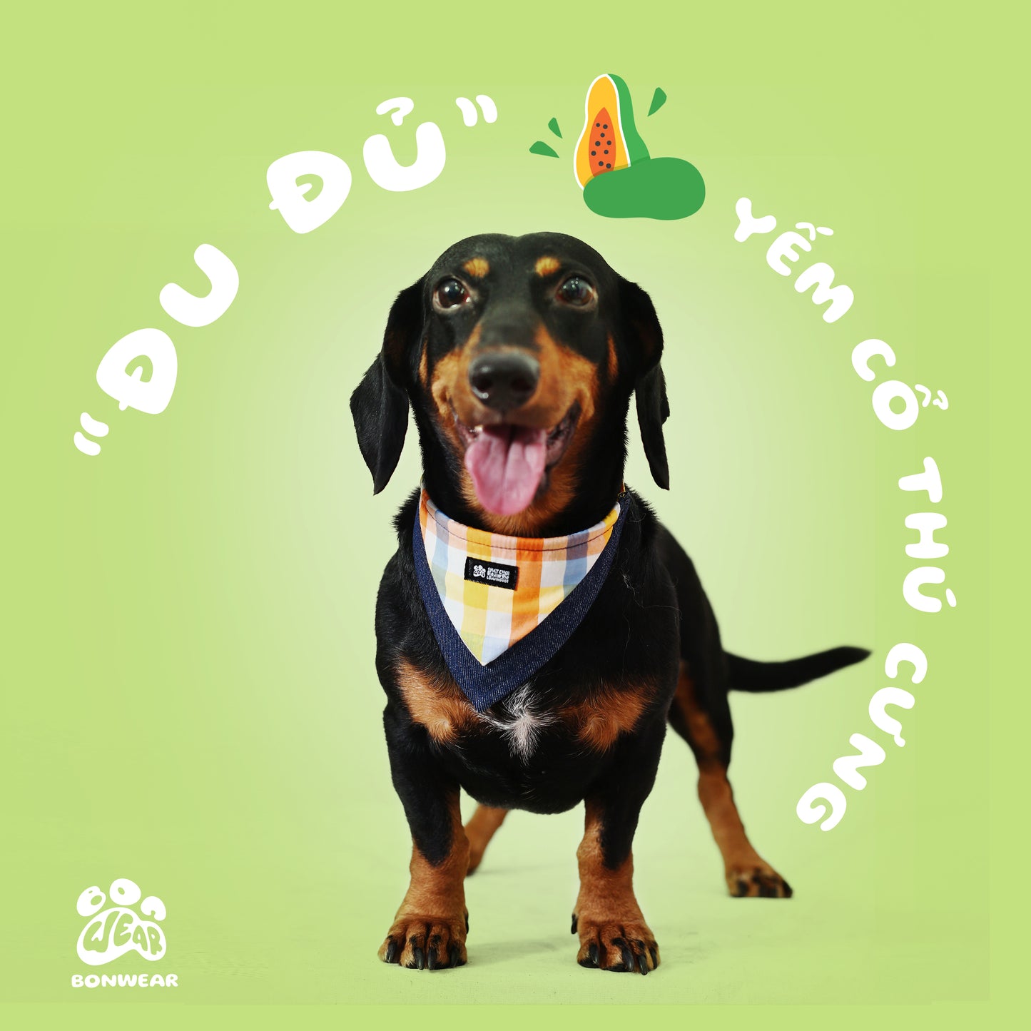 BANDANA PAPAYA (ĐU ĐỦ)
