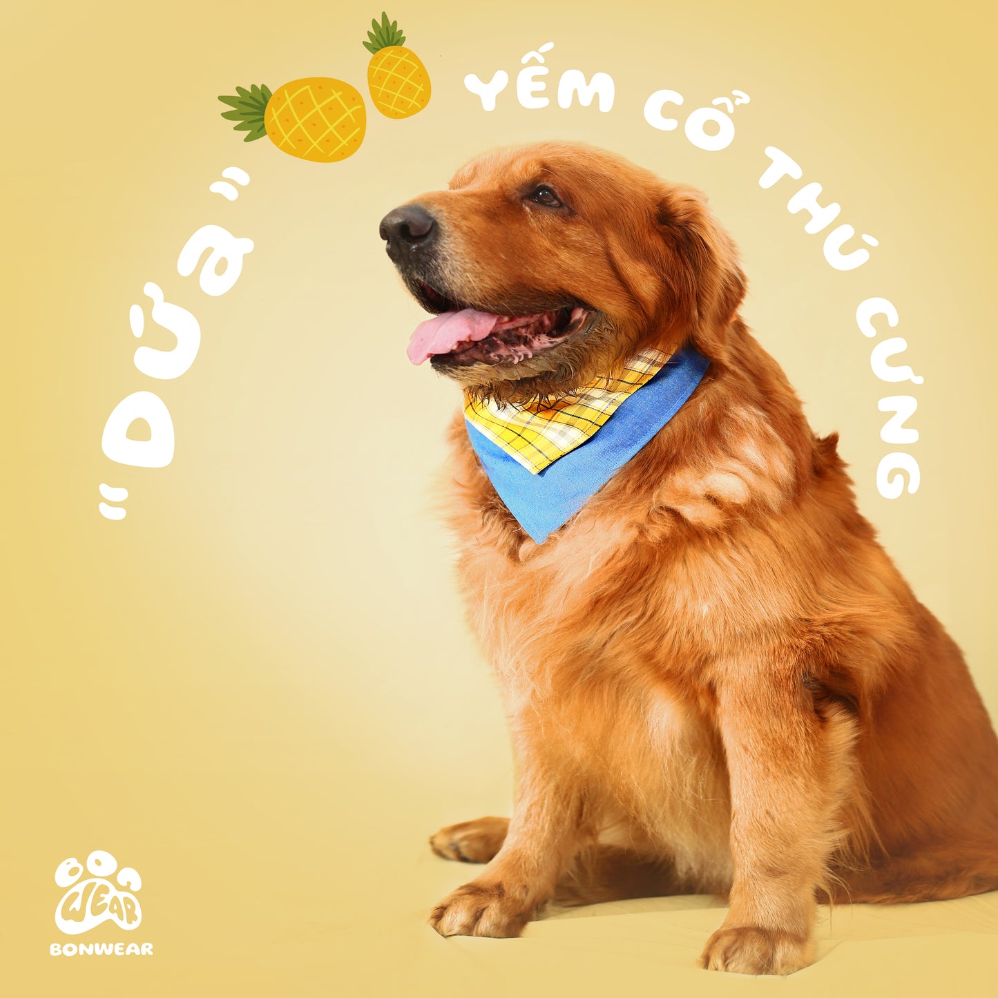 BANDANA PINEAPLLE (DỨA)