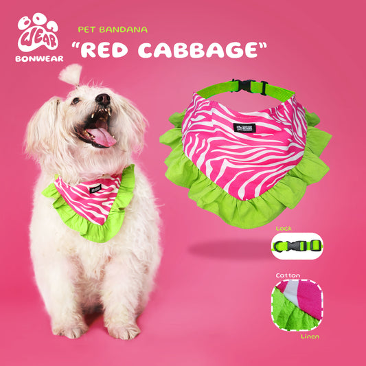 BANDANA RED CABBAGE (BẮP CẢI ĐỎ)