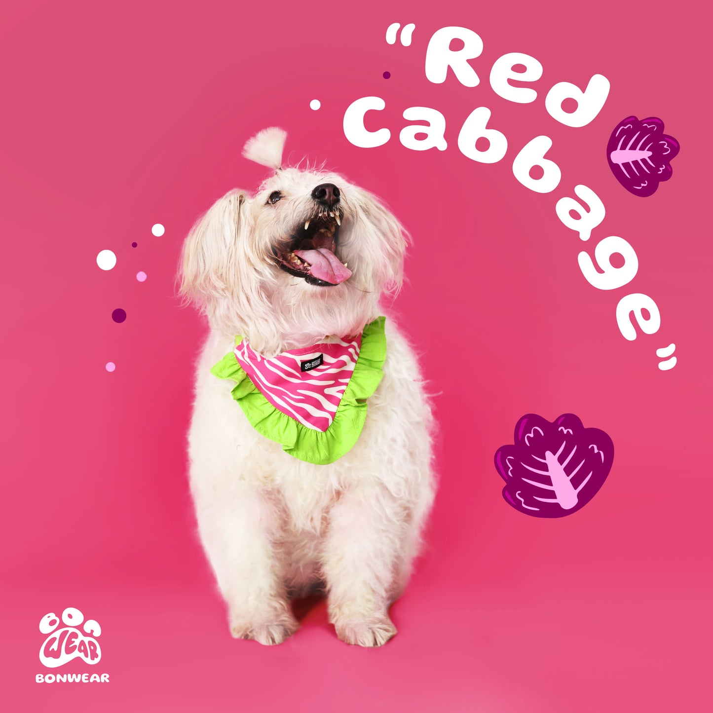 BANDANA RED CABBAGE (BẮP CẢI ĐỎ)