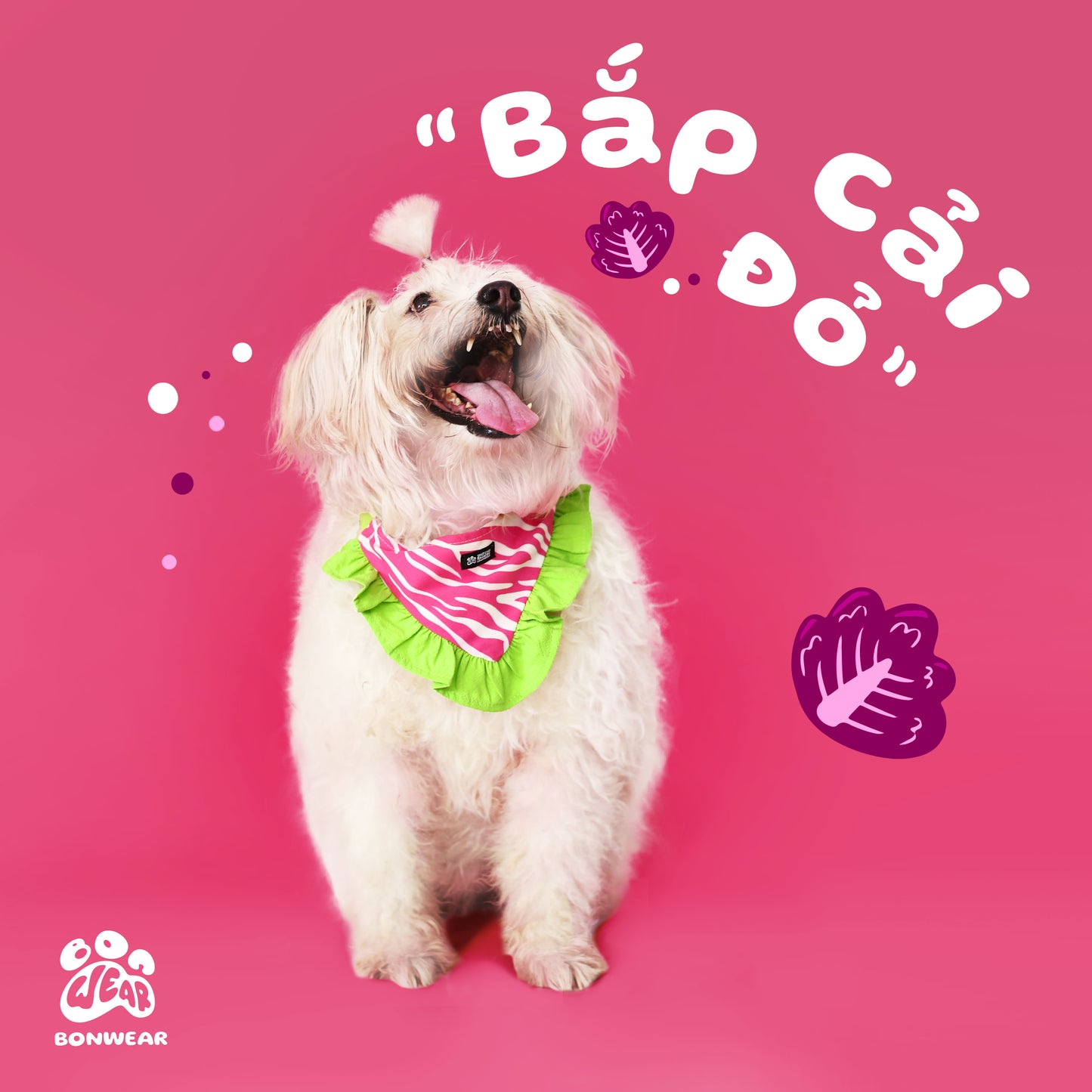 BANDANA RED CABBAGE (BẮP CẢI ĐỎ)