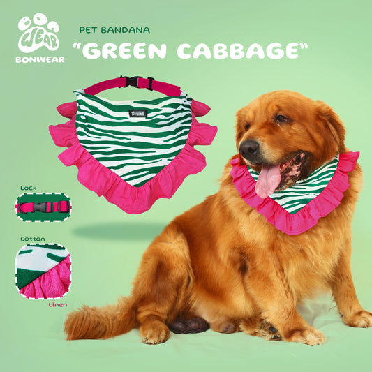 BANDANA GREEN CABBAGE (BẮP CẢI XANH)