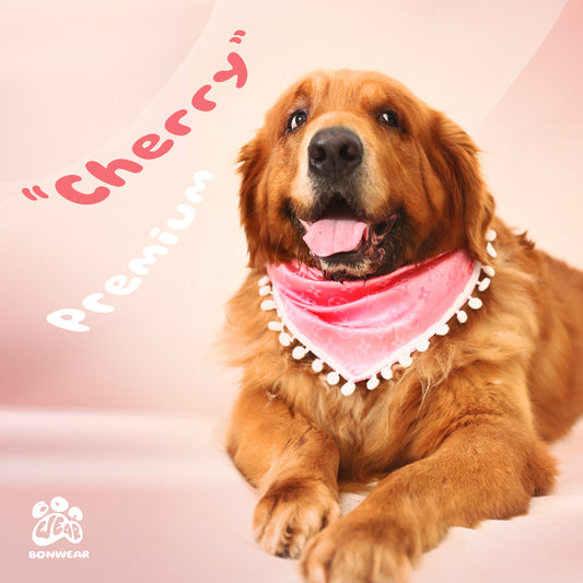 BANDANA CHERRY