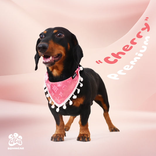 BANDANA CHERRY