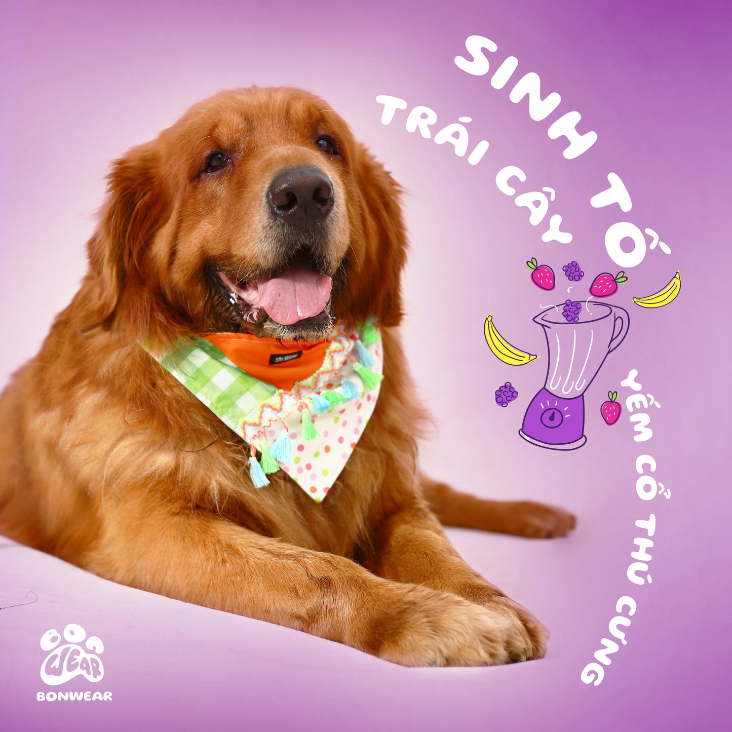 BANDANA FRUIT SMOOTHIE (SINH TỐ TRÁI CÂY)