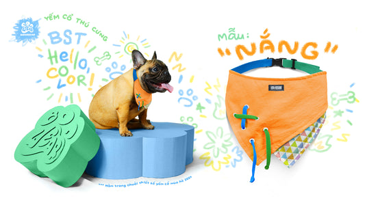 BANDANA CỎ-NẮNG-CHIỀU
