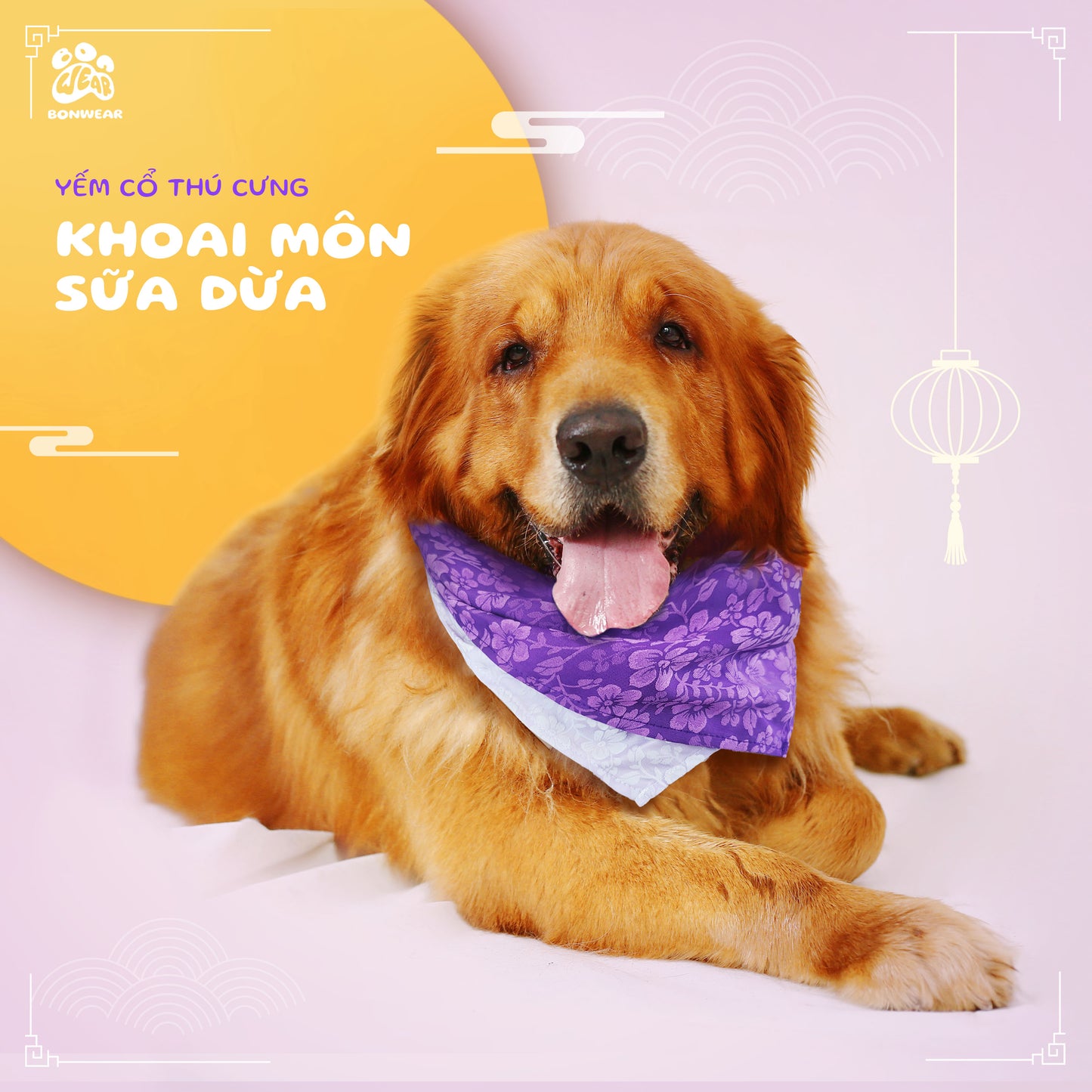 BANDANA COCONUT MILK TARO (KHOAI MÔN SỮA)