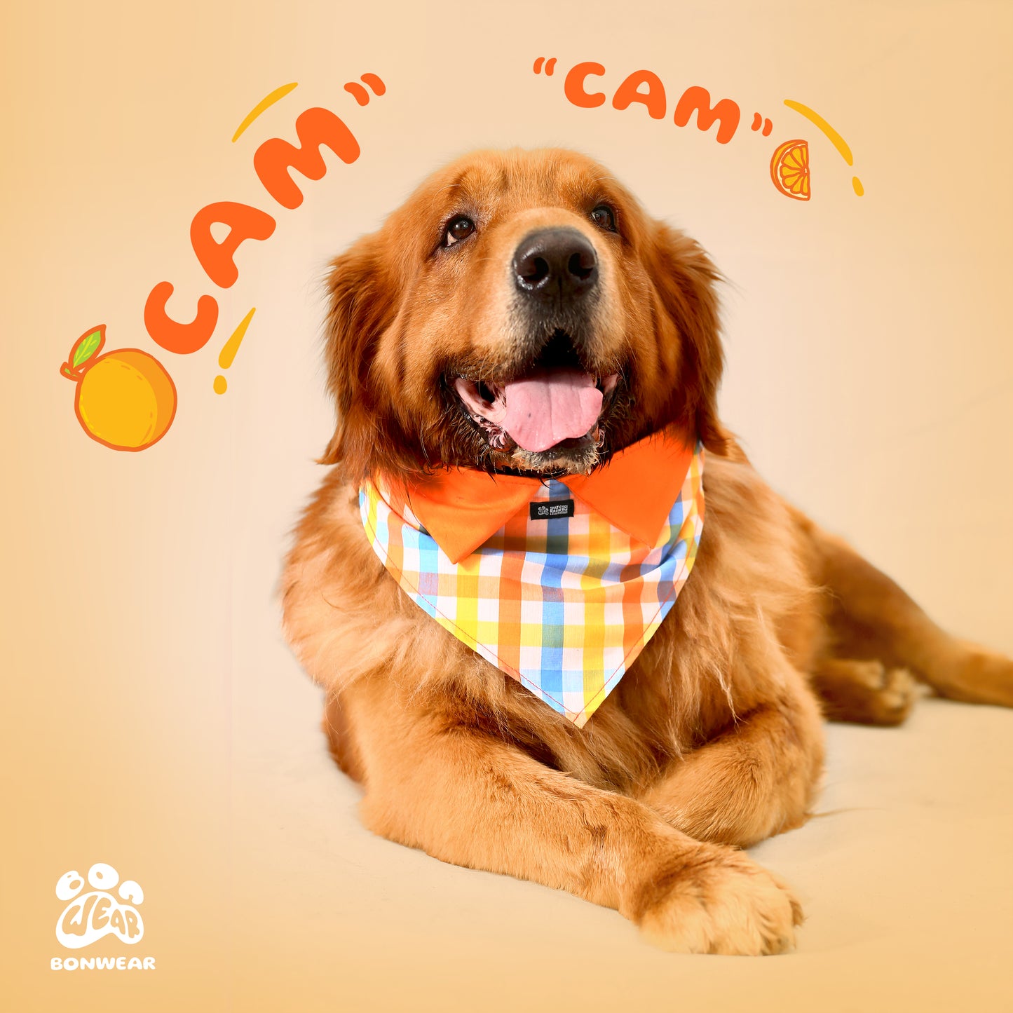 BANDANA ORANGE (CAM)