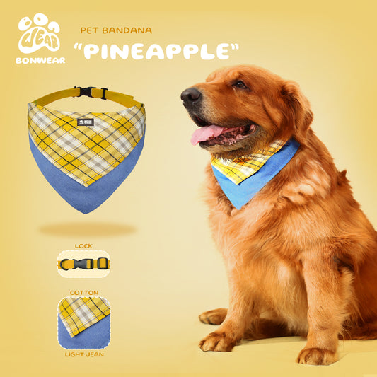 BANDANA PINEAPLLE (DỨA)