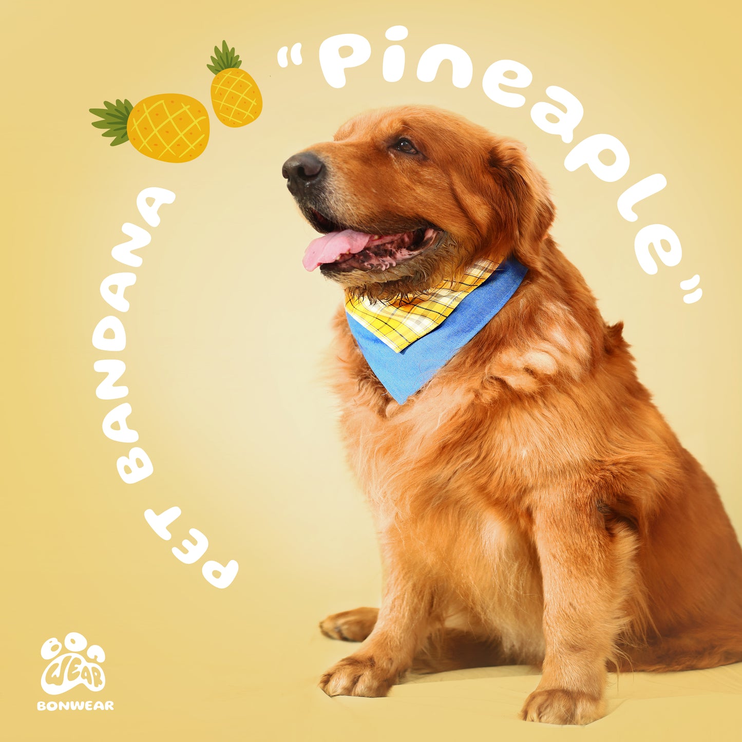 BANDANA PINEAPLLE (DỨA)