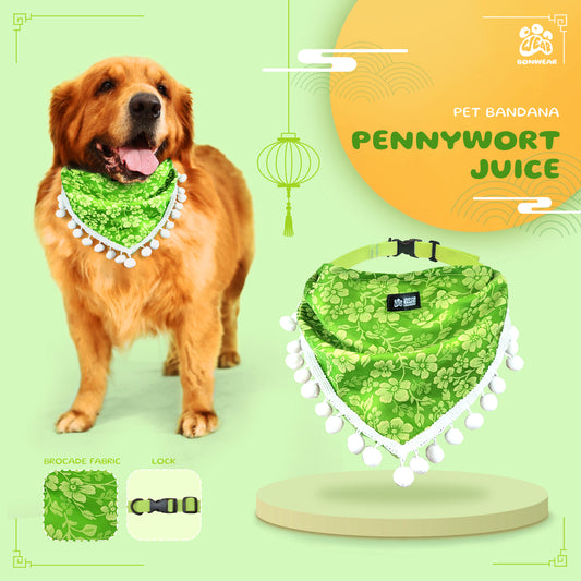 BANDANA PENNYWORT JUICE (RAU MÁ)